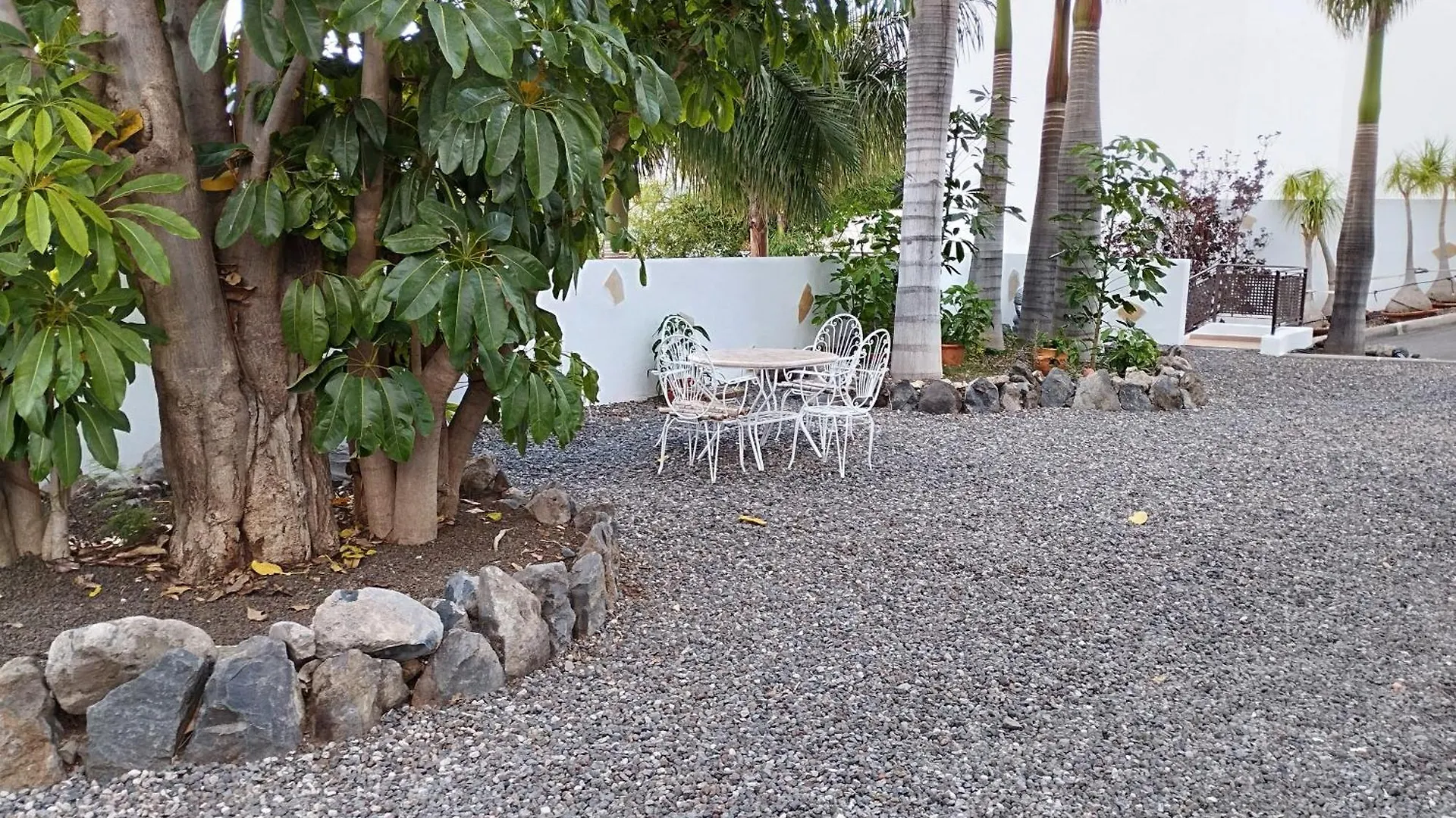 Las Palmeras B Güimar